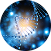 DNA & Cell Research
