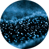 GLP Peptides