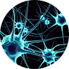 Neuro Signalling